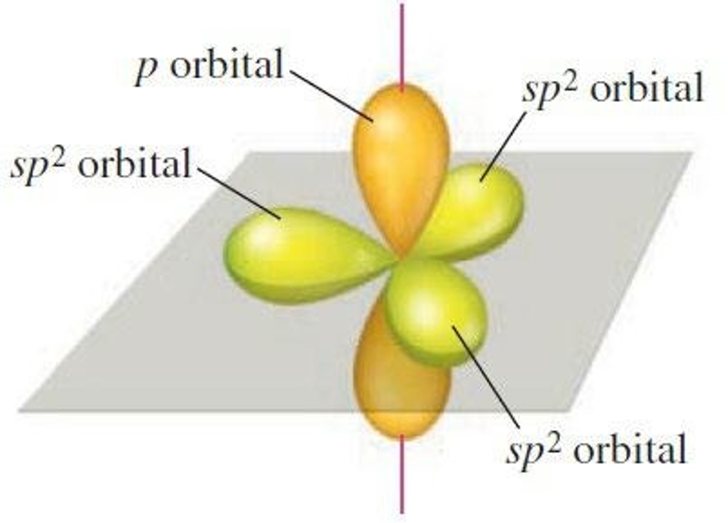 <p>One 2s and two 2p orbitals.</p>