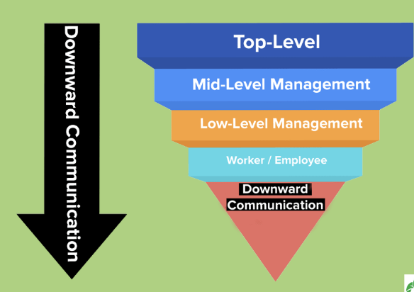 <p>from top of organisation to bottom (feedback)</p>