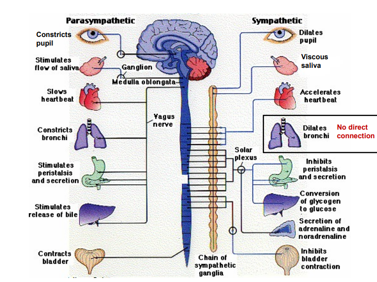 <p>Outline what this diagram represents.</p>
