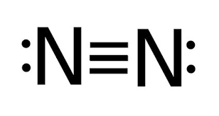 <p>10 electrons</p>