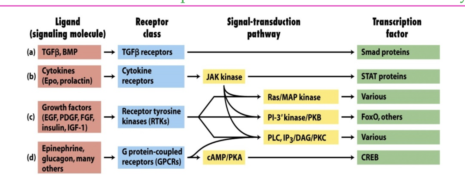 <p>crosstalk</p>