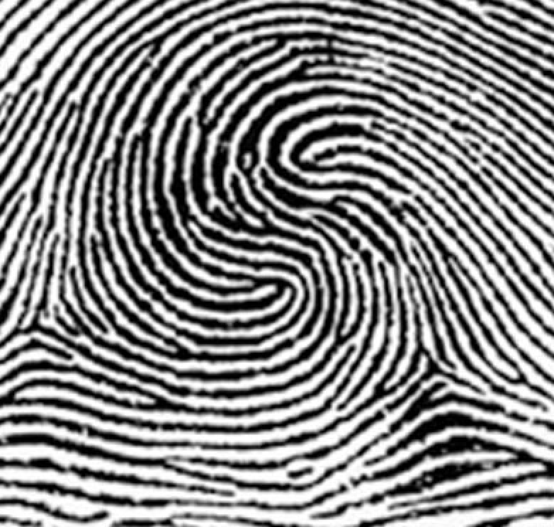 <p>type of print and characteristics</p>