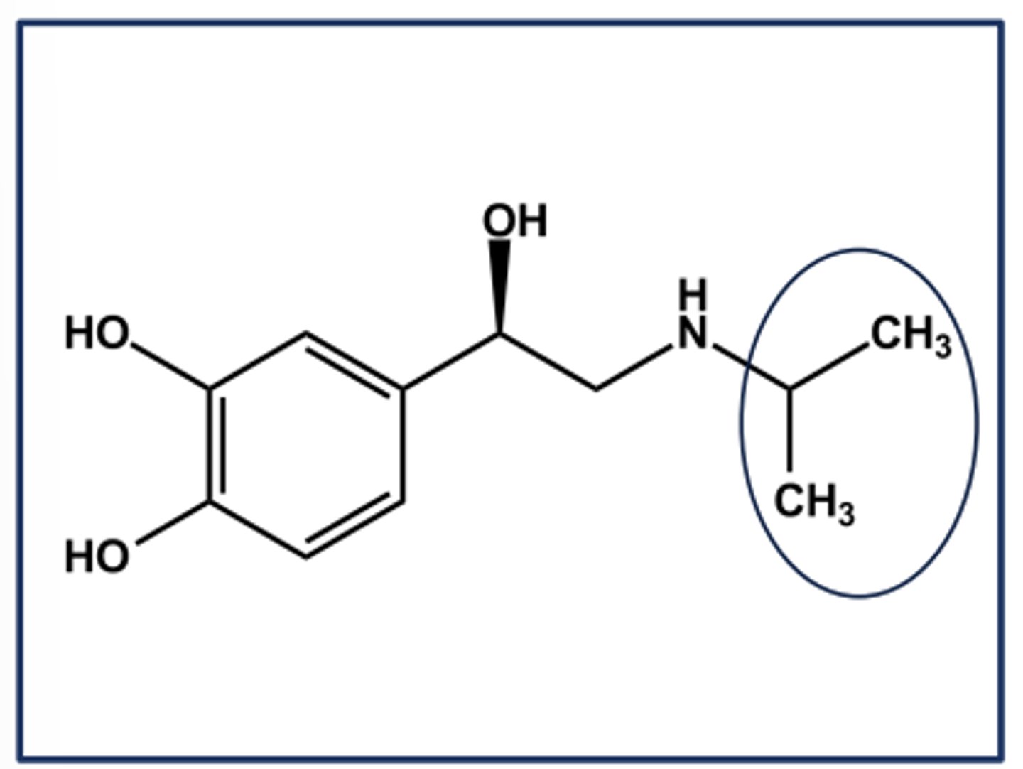 <p>- N-isopropyl norepinephrine</p><p>- Gaining β-selectivity over B-selectivity</p><p>- Nonselective β-agonist activity</p><p>➢ Equal affinity at B1 and B2 receptors</p><p>➢ No affinity at either a receptor</p><p>- Larger N-alkyl groups continue the trend towards B2 selectivity</p><p>-Poor profile due to instability, but very potent</p>