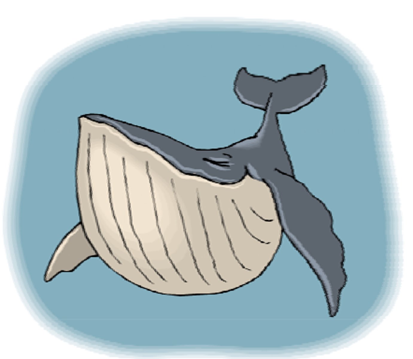 <p>a very large sea mammal that breathes air through a hole at the top of its head</p>