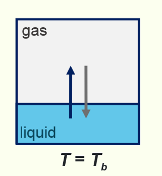 <p>X (l) ⇌ X (g) - increasing T shifts this eqm to the right</p><p>at the boiling point, T<sub>b</sub>, vapour pressure (partial pressure) is equal to the pressure of the surroundings. below this, some of the substance is still in the gas phase but eqm lies to the left.</p>