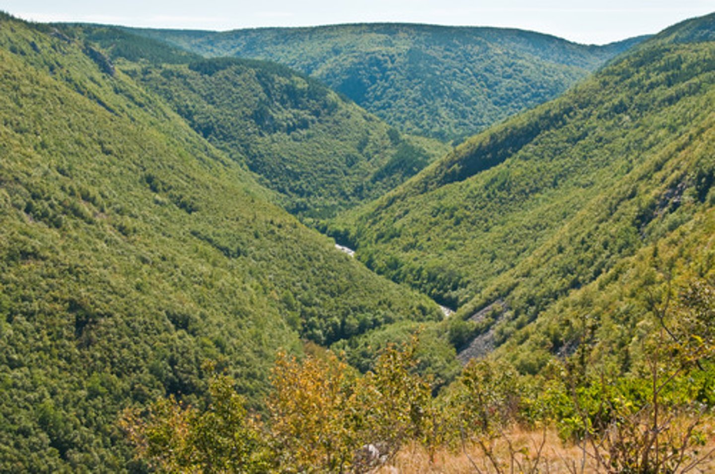 <p>Valleys eroded due to fast flowing water often found in upland areas</p>