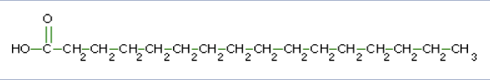 <p>What macromolecule is this?</p>