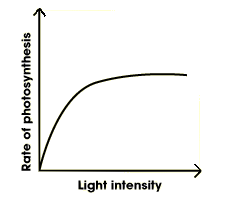 <p>Increases- more energy for the reaction</p>