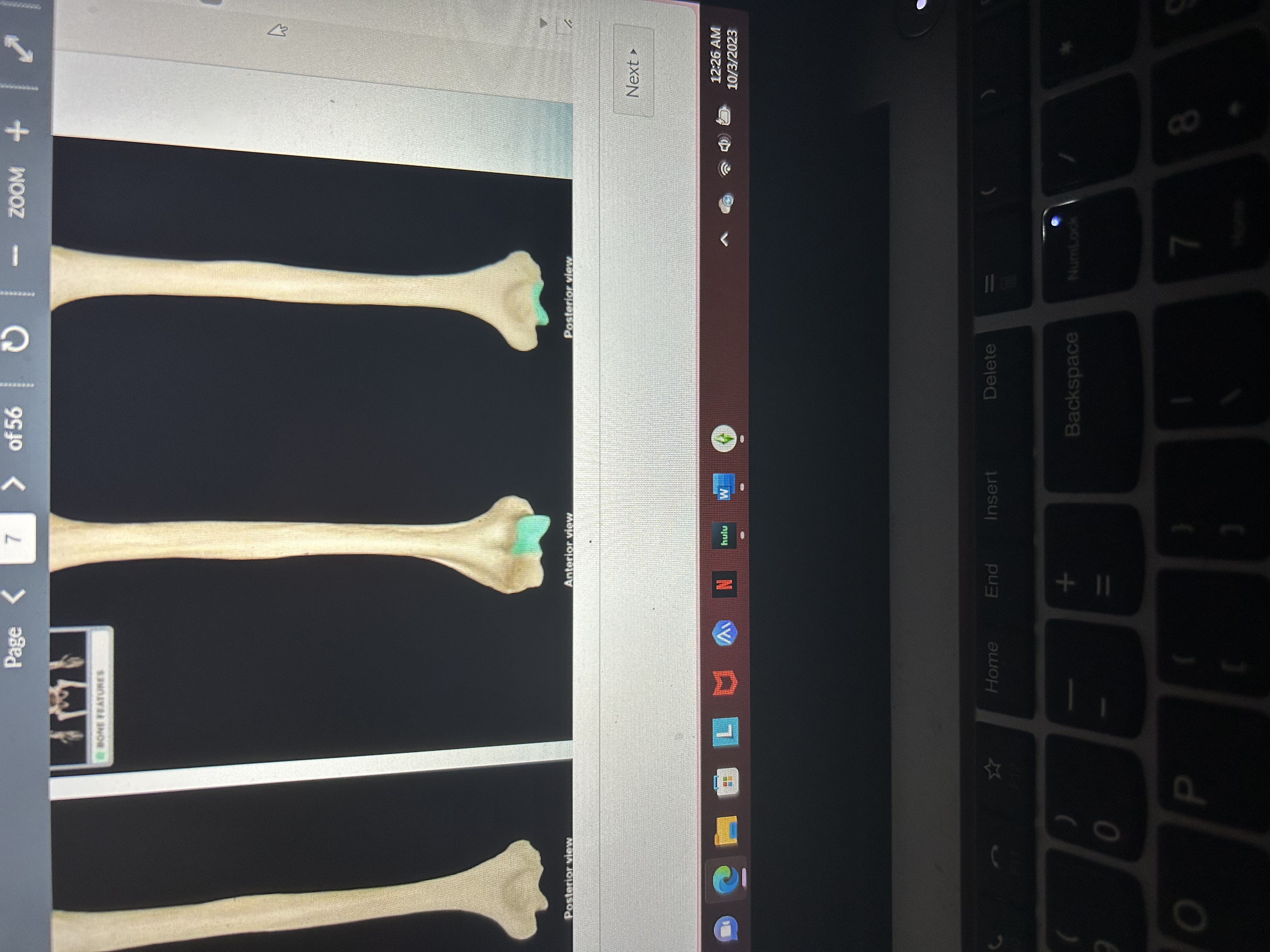 knowt flashcard image