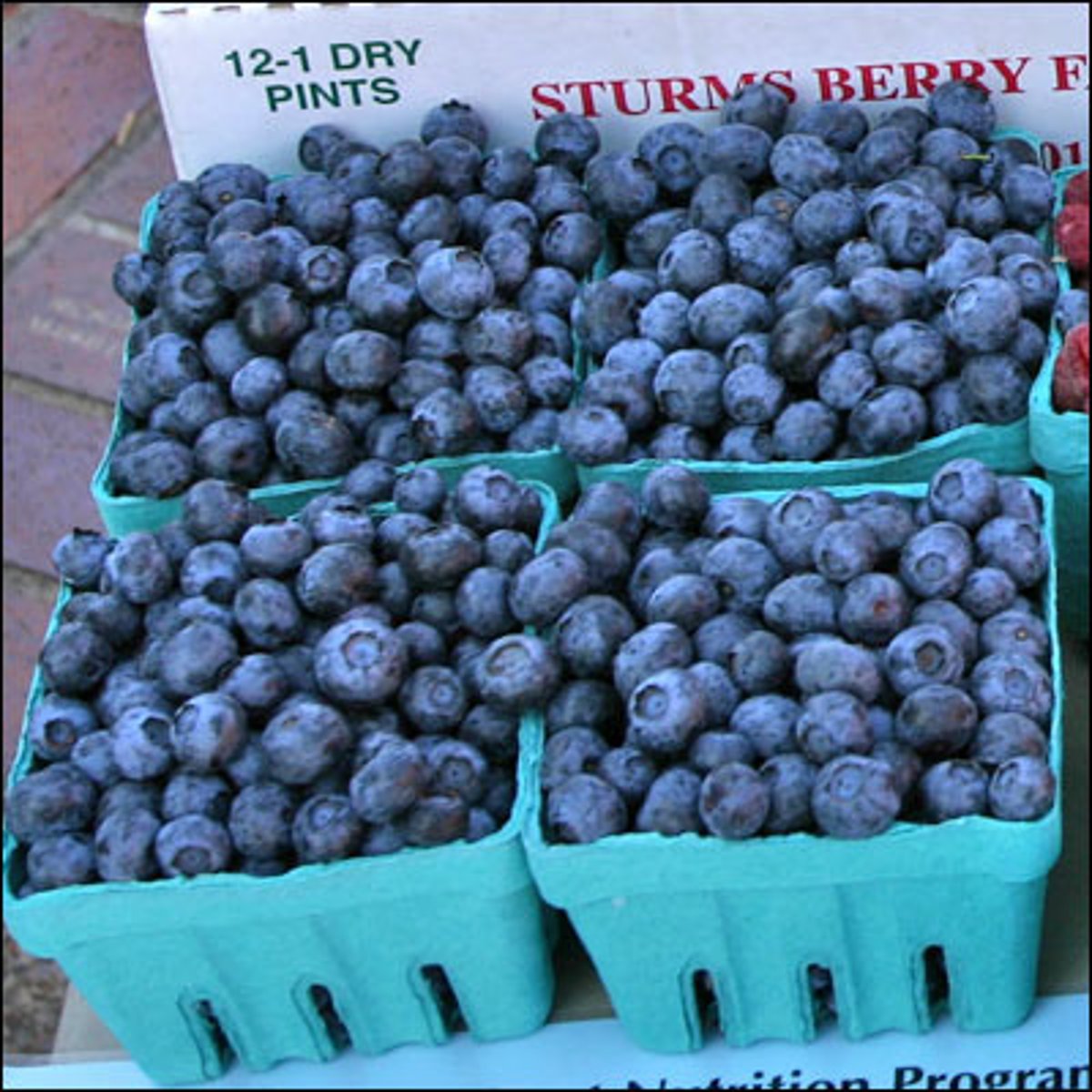 <p>blueberry</p>