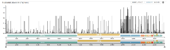 <p>What is the ‘S’ region and why is there so much nucleotide diversity?</p>