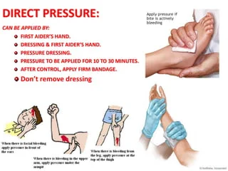 most common and effective way to control bleeding 