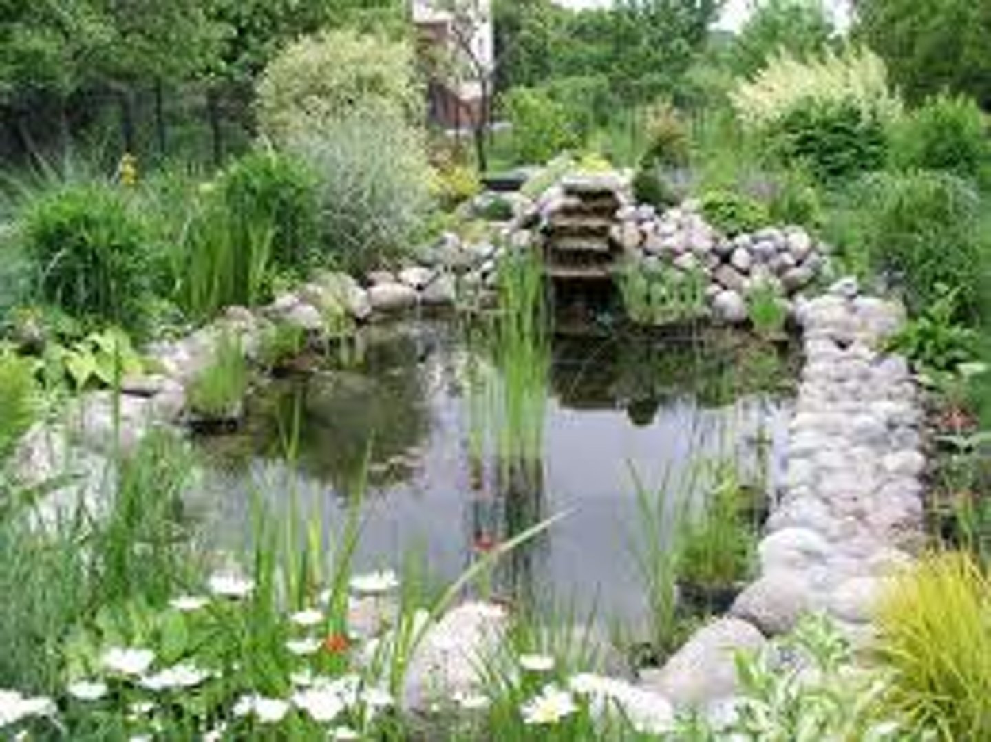 <p>pond</p>