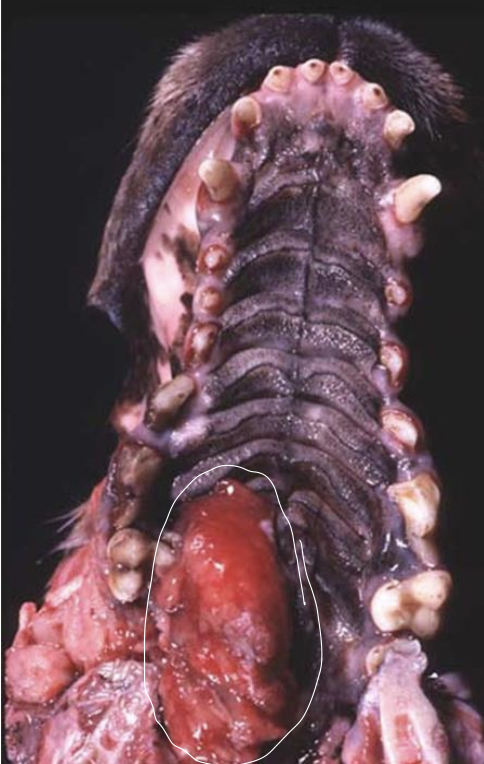 <p>what is the image showing?</p>