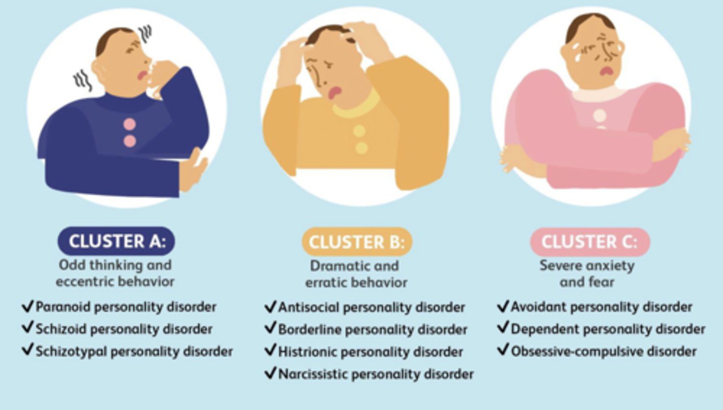 <p>A: "Weird" Odd, Eccentric Behavior</p><p>B:"Wild" Erratic, Impulsive, Unpredictable Behavior</p><p>C: "Worried" Anxious, Fearful Behaviors</p>