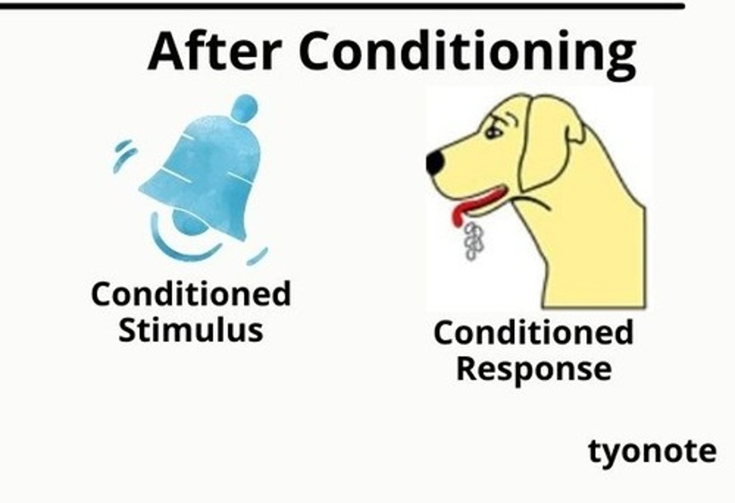 <p>in classical conditioning, a learned response to a previously neutral (but now conditioned) stimulus (CS).</p>