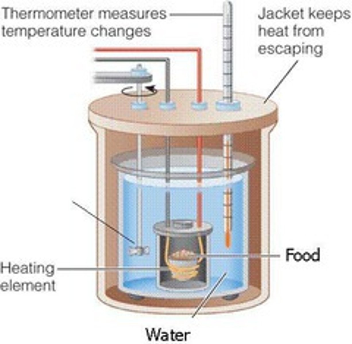 <p>an instrument that measures the heat energy released when foods are burned, thus providing an estimate of the potential energy of the foods</p>