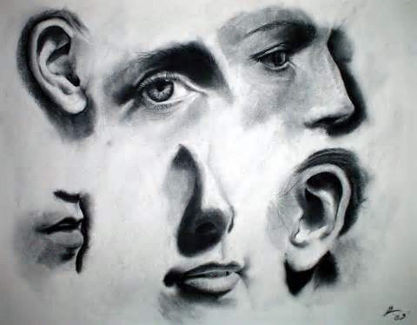 <p>los rasgos o características físicas de una persona</p>