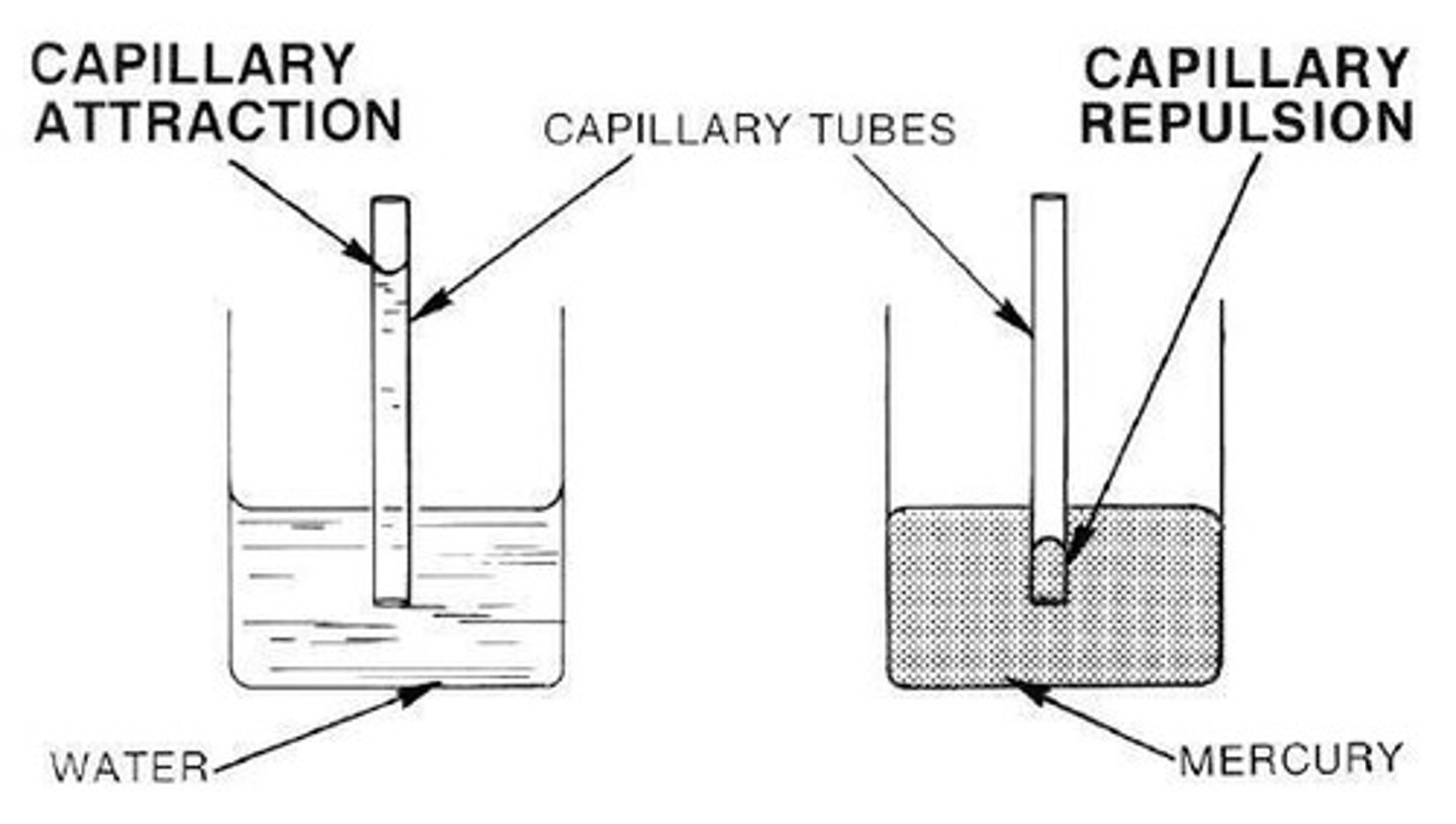 <p>The ability of water to climb up a surface against the pull of gravity.</p>
