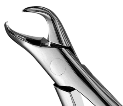 <p>Universal Mandibular Forceps</p><p>No. 23</p>