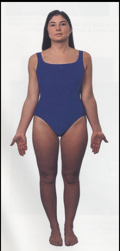 <p>Refers to a position where the body is standing straight up.</p>