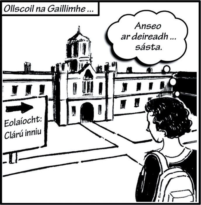 <p>Glactar Sinead isteach i gcoláiste na Gaillimhe</p>