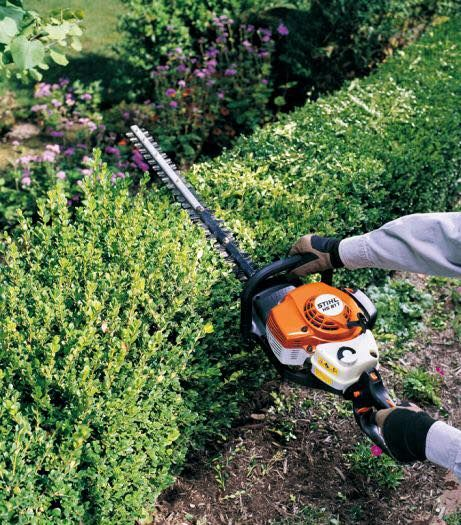 <p>Trim the bushes </p>