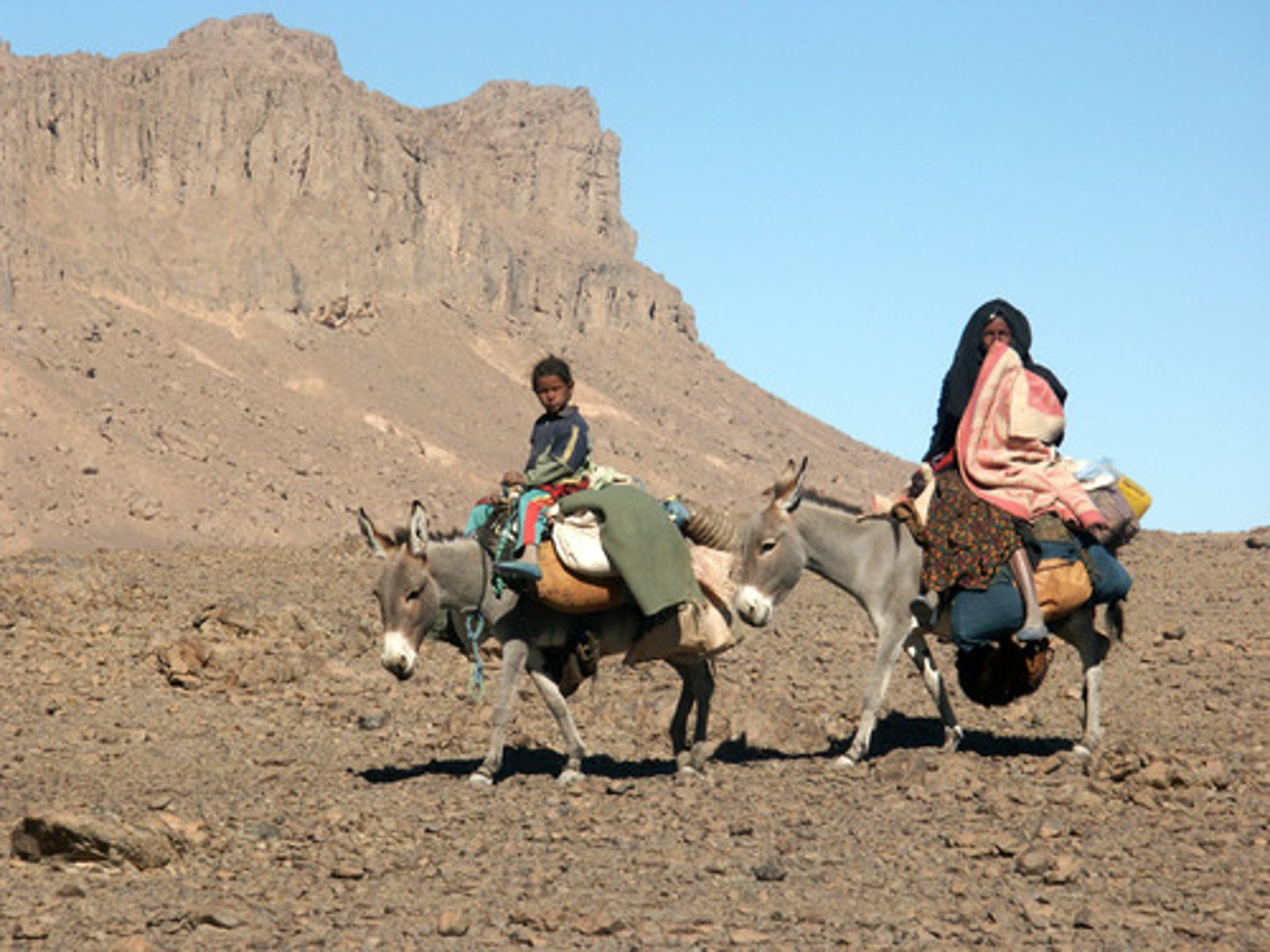 <p>small groups of nomadic herders in Arabia who often fought to maintain and gain control of areas of the desert</p>