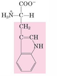 <p>W</p>