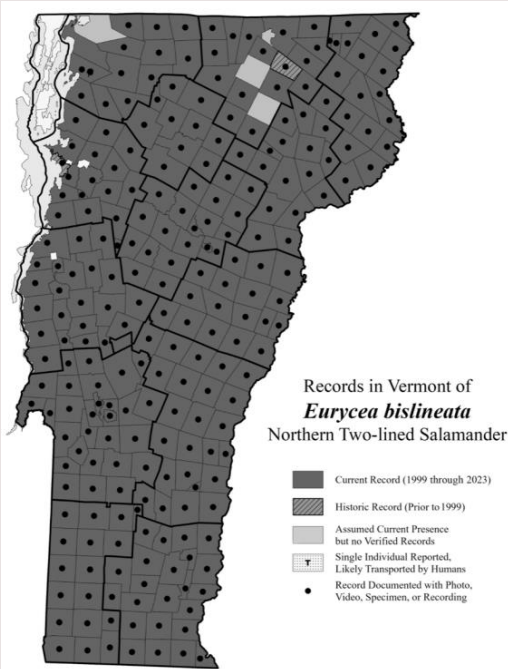 <p>Stream-associated, found in wet soil or under cover in and around strems (S5)</p>