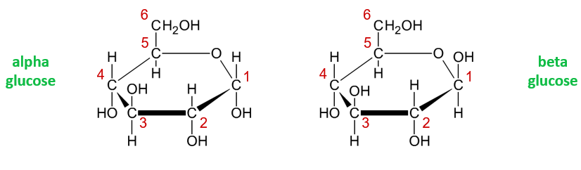 <p>In alpha glucose the hydrogen is above the first carbon and in beta the hydrogen is below the first carbon</p>