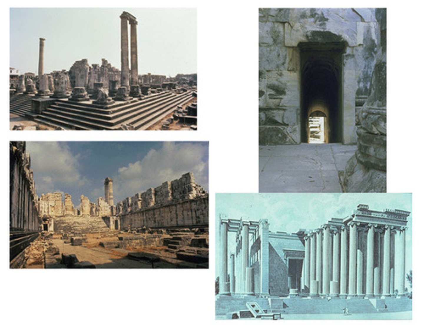 <p>- HUGE temple: double peristyle w/ Ionic columns, huge stairs, huge door leads to stage for Priest (oracle)</p><p>- Tunnel w/ barrel vault to descent &amp; enter the temple</p><p>- Inside: garden of laurel trees sacred to Apollo; small Ionic temple within to house statue of Apollo, Corinthian columns</p><p>- Flat roof (no pediment) -> could go on roof &amp; admire view</p>