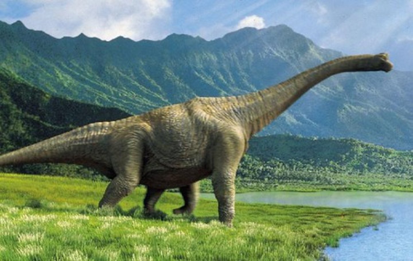 <p>They existed</p>