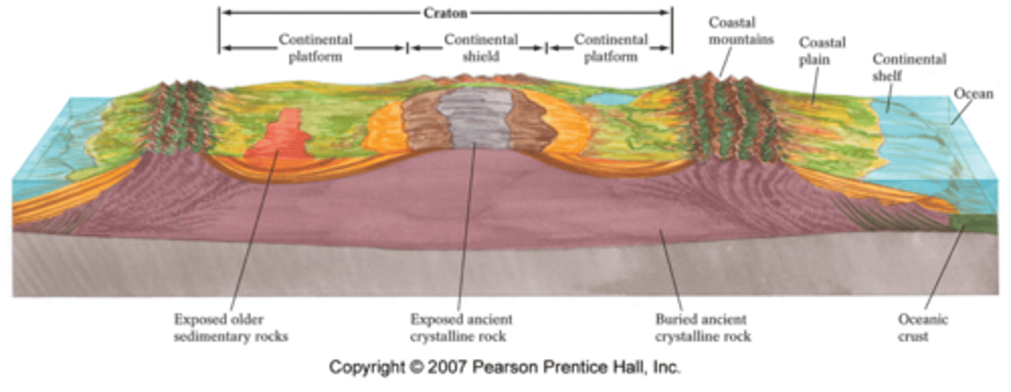 <p>stable interior of ancient continental crust, often made up of continental shields & platforms</p>