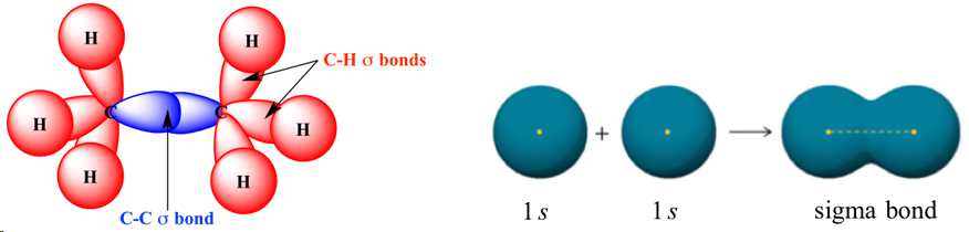 <p>strongest type of covalent chemical bond, formed by head on overlapping between atomic orbitals along the bond axis, all single covalent bonds, formed by s/s, s/p, p/p, hybrid/s, hybrid/hybrid</p>