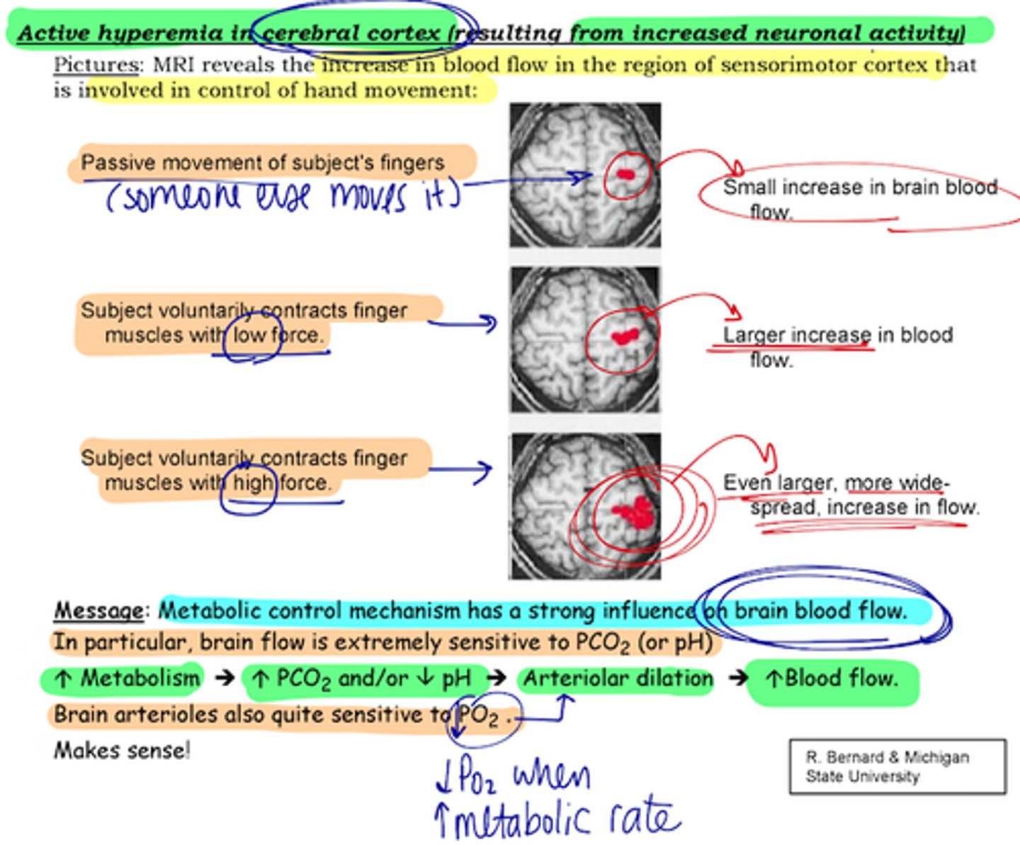 <p>a. Goes through long bones (95%), brain, liver kidneys (4%), blood (1%)</p>