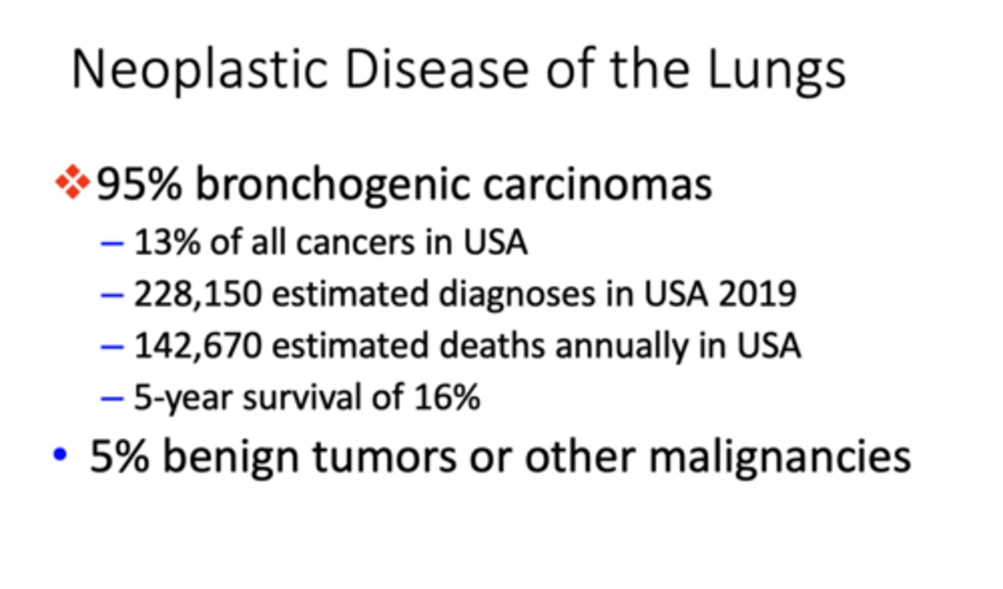 <p>bronchogenic carcinomas</p>