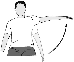 <p>muscles involved in shoulder abduction </p>