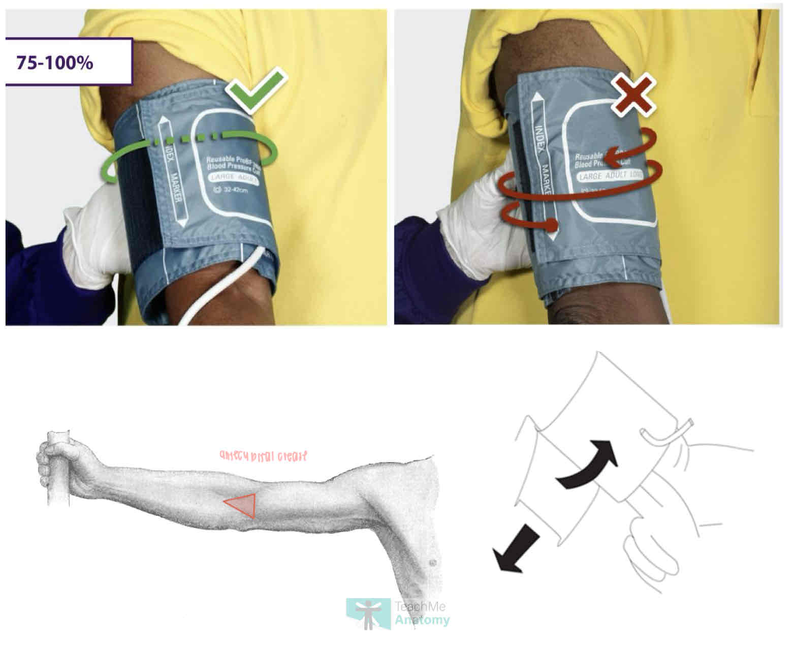 <ul><li><p>on bare arm abt 2 fingers above antecubital crease</p></li><li><p>should be level with pts heart when arm supported</p><p></p></li><li><p>pt refrain from talking, have seated upright w back fully against chair, feet flat w legs uncrossed</p></li></ul><p></p>