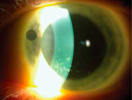 <p>What’s going on here?</p>