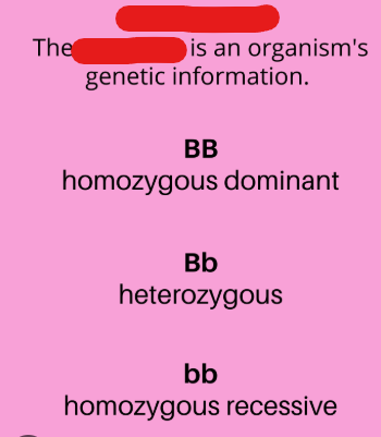 <p>The versions of a gene a person gets from their mother and father, or more broadly an organism’s genetical information.</p>