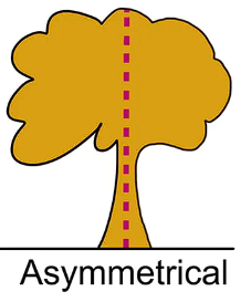 <p>Тэгш бус </p>