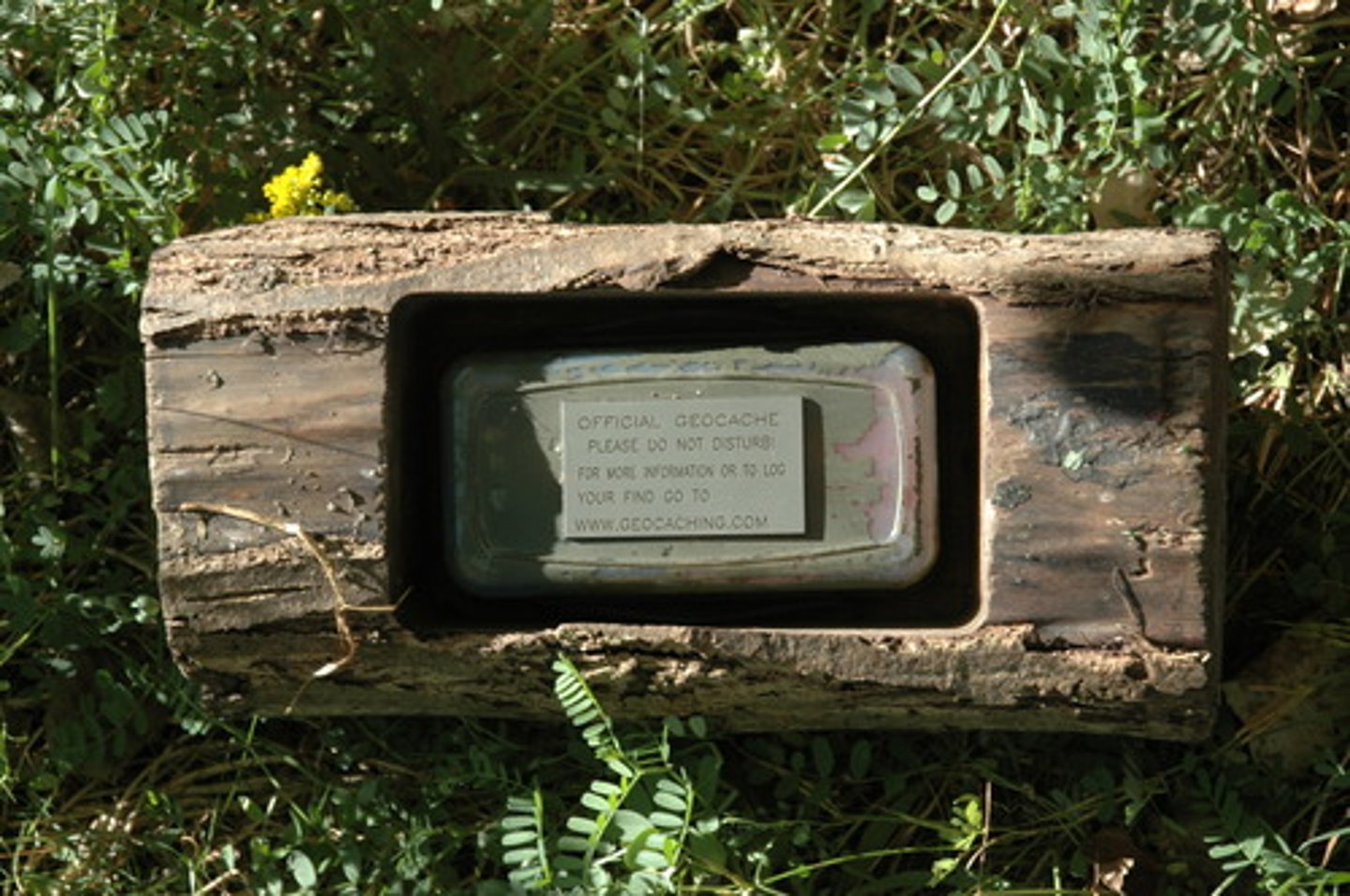 <p>a hidden storage space</p>