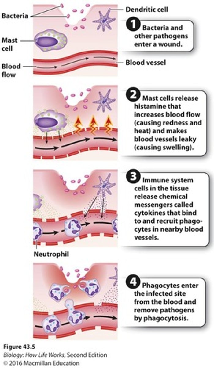 <p>Blood clotting disorders or cytokine storm in severe infection.</p>