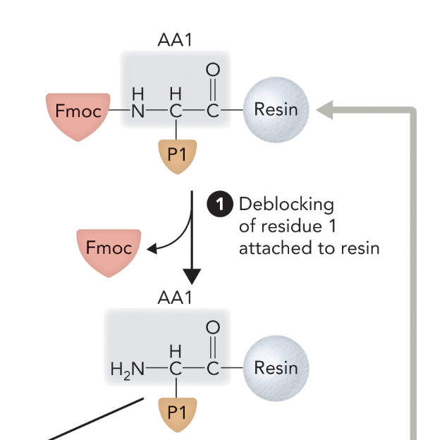 <p>Step 1 </p>