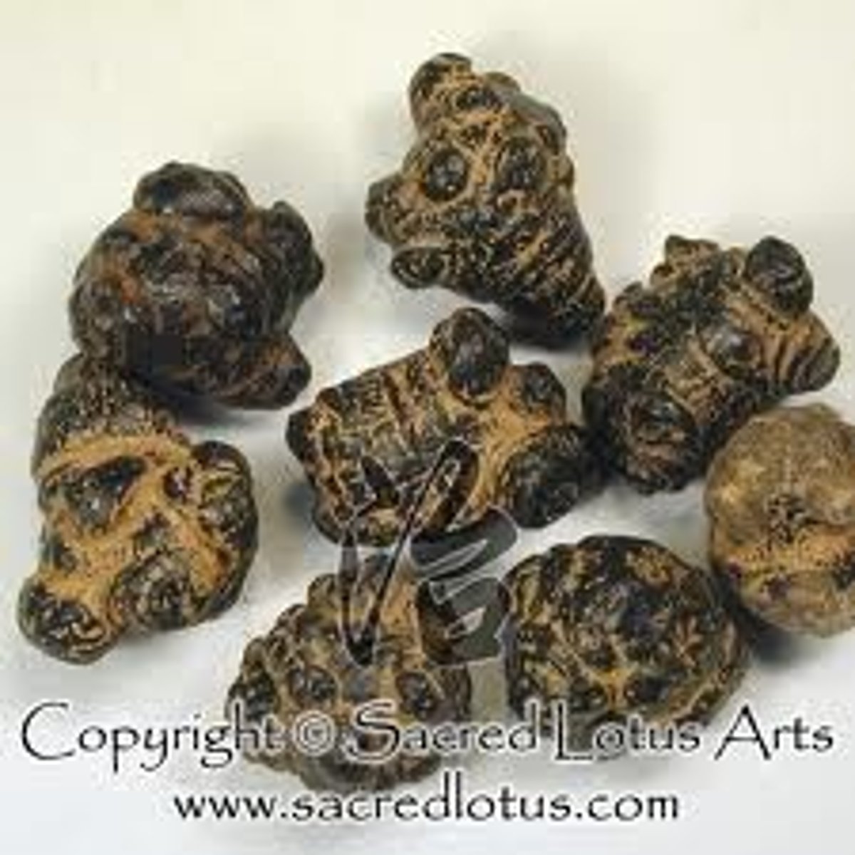 <p>The TCM, health is present when ____ flows well through the body and there exist yin and yang.</p>