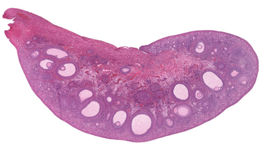 <p>What is this?</p>