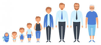 <p>(Noun) The length of time that someone or something has existed; a specific stage in life. Influences experiences, perspectives, and societal roles. (中文: 年龄)</p>