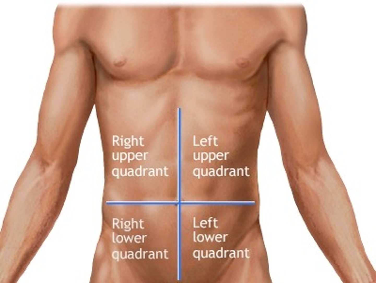 <p>RUQ</p><p>RLQ</p><p>LUQ</p><p>LLQ</p>