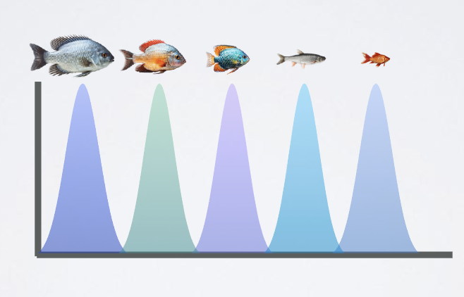 <ul><li><p><span style="color: rgb(255, 255, 255);"><span>A single plant species can be a resource that is partitioned by multiple species, some closely related</span></span></p></li><li><p><span>will aim to minimize species trait</span><br><span>overlap (similarity) and thus, to maximize phenotypical differences</span><br><span>between coexisting species</span></p></li><li><p><span>expected to create specialization (narrower)</span></p><p></p></li></ul><p></p>